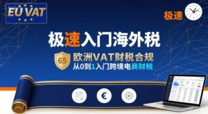 极速入门海外税，欧洲VAT财税合规，从0到1入门跨境电商财税-网创资源站