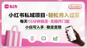 小红书私域项目 月入过W非常轻松 每天15分钟即可搞定，无任何操作门槛，小白可入手-网创资源站