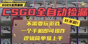 CSGO自动捡漏项目，最新独家玩法，一个手机即可操作，新手小白轻松月入1W+，操作简单易上手【揭秘】-网创资源站