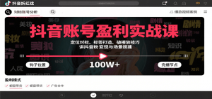 抖音账号盈利实战课,定位对标、标签打造、破播放技巧,讲涨粉变现与场景搭建-网创资源站