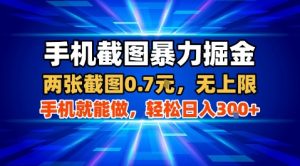 手机截图暴力掘金，两张截图0.7米，一部手机就能做，轻松日入3张+【揭秘】-网创资源站