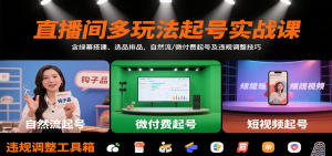 直播间多玩法起号实战课:含绿幕搭建、选品排品,自然流/微付费起号及违规调整技巧-网创资源站