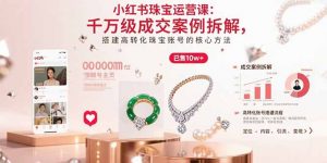 小红书珠宝运营课:千万级成交案例拆解,搭建高转化珠宝账号的核心方法-网创资源站