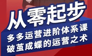 拼多多运营进阶系统课,从零起步,多多运营进阶体系课,破茧成蝶的运营之术-网创资源站