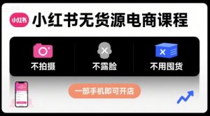 小红书无货源电商课程,不拍摄不露脸不用囤货,一部手机即可开店-网创资源站