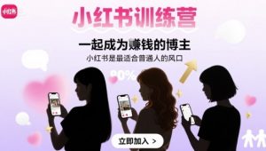 小红书训练营一起成为賺钱的博主，小红书是最适合普通人的风口-网创资源站
