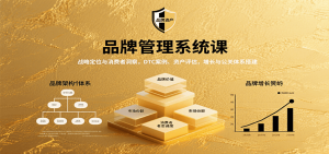 品牌管理系统课:战略定位与消费者洞察,DTC案例、资产评估,增长与公关体系搭建-网创资源站