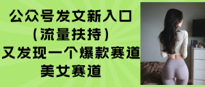 公众号发文新入口(流量扶持-网创资源站