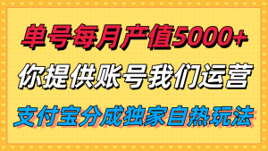 单月产值5000+，支付宝分成代运营，你提供账号坐等分钱，我们帮你运营-网创资源站