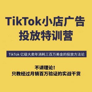 TikTok小店广告投放特训营，6天破局计划专治各种“投不动”，教你经过月销百万验证的实战干货-网创资源站