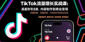 TikTok流量增长实战课:涵盖账号注册、流量获取、内容制作到商业变现-网创资源站