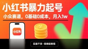 小红书暴力起号，小众赛道，0基础0成本，月入1w-网创资源站