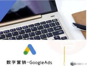 数字营销-GoogleAds-外贸跨境电商教程-网创资源站