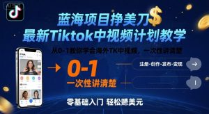 蓝海项目挣美刀,最新Tiktok中视频计划教学,从0-1教你学会海外TK中视频,一次性讲清楚-网创资源站