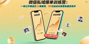 微信私域爆单训练营：一场公开课成交33单案例，99元自动训练营批量变现术-网创资源站