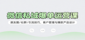 微信私域爆单运营课:朋友圈/社群/引流技巧,客户管理与爆款产品设计-网创资源站