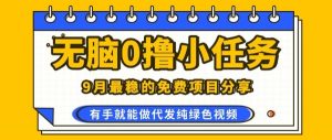 0学费0风险，2025风口项目，无脑免费撸，代发纯绿色视频，一部手机人人可做【揭秘】-网创资源站
