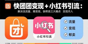 快团团变现+小红书引流：解决没流量、难变现、缺帮卖三大痛点 实现月入3w+-网创资源站