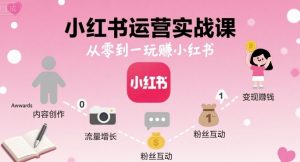 小红书运营实战课,从零到一玩賺小红书-网创资源站