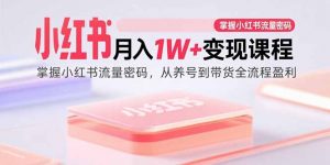 小红书月入1W+变现课程：掌握小红书流量密码，从养号到带货全流程盈利-网创资源站