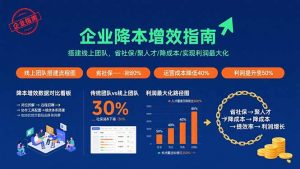 企业降本增效指南:搭建线上团队,省社保/聚人才/降成本/实现利润最大化-网创资源站