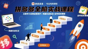 拼多多全阶实战课程,从新手小白到运营高手,海量实战玩法+全年实时更新【2025年9月更新】-网创资源站