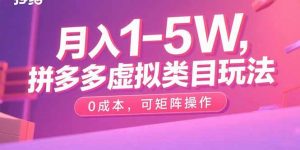 月入1-5W,拼多多虚拟类目玩法,0成本,可矩阵操作-网创资源站