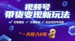 视频号带货变现新玩法,无需露脸,无需粉丝,无任何封号风险,一天收益8张【揭秘】-网创资源站