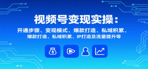视频号变现实操,含开通步骤、变现模式、爆款打造、私域积累、IP打造及流量提升等-网创资源站