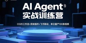 AI Agent实战训练营，COZE工作流+剪映插件+飞书联动，单日量产100条视频-网创资源站