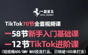 TikTok全套视频课,新手入门+进阶课,短视频ADS-GMV MAX投流打品,日销破1000单打法-网创资源站