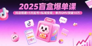 2025盲盒爆单课，抖店搭建+5天起号+私域变现，单月GMV突破10万-网创资源站