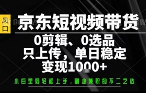你出账号,我来运营,保底日入1k+,开启躺賺模式【揭秘】-网创资源站