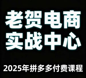 老贺电商2025年拼多多付费课程,用通俗易懂的方法告诉你多多怎么玩-网创资源站