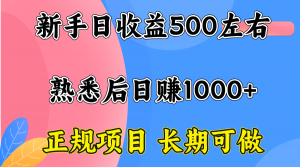 一台电脑,前期日收益300-500,熟练后日入1000左右-网创资源站