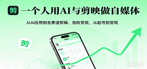 一个人用AI与剪映做自媒体,从AI应用到各赛道剪辑、涨粉变现,从起号到变现-网创资源站