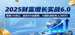 2025财富增长实战6.0,聚焦7大风口,结合6行业案例,小团队轻松年入200万!-网创资源站