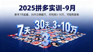 2025拼多多实训-9月：新手7天起量,30天日销破万,月利润3-10万,可矩阵复制-网创资源站