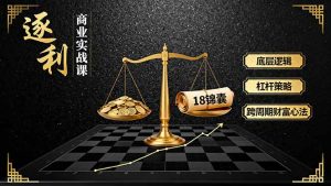 《逐 利》商业实战课,底层逻辑、杠杆策略、18锦囊,跨周期财富心法-网创资源站