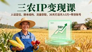 三农IP变现课,人设定位、脚本结构、流量获取,30天打造月入5万+带货账号-网创资源站