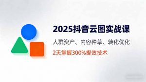 2025抖音云图实战课,人群资产、内容种草、转化优化,2天掌握300%提效技术-网创资源站