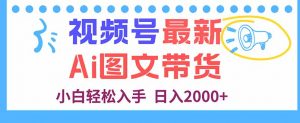 视频号最新AI图文带货，每天几分钟，小白轻松入手，日入2000+-网创资源站
