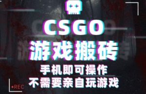 CSGO游戏挂G捡漏，单日扫货5张+，年底小高峰上车可吃肉，手机即可操作，兼职副业创业网创【揭秘】-网创资源站