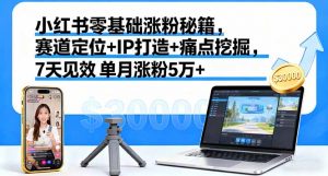 小红书零基础涨粉秘籍，赛道定位+IP打造+痛点挖掘，7天见效 单月涨粉5万+-网创资源站