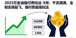 2025万金油强付费玩法-9月：干货满满，全程实操起飞，强付费最强玩法-网创资源站