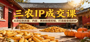 三农IP成交课：从定位到流量、内容，再到拍摄剪辑，打造能变现的IP-网创资源站