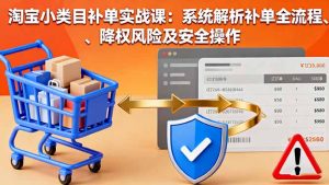 淘宝小类目补单实战课：系统解析补单全流程、降权风险及安全操作-网创资源站