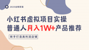 小红书虚拟项目实操指南，普通人月入1W+产品推荐，直接抄-网创资源站