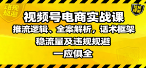 视频号电商实战课：推流逻辑、全案解析，话术框架，稳流量及违规规避等-网创资源站