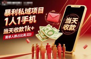 暴利私域项目1人1手机,当天收款1k+,需求人群占比高,当天就能见到钱-网创资源站